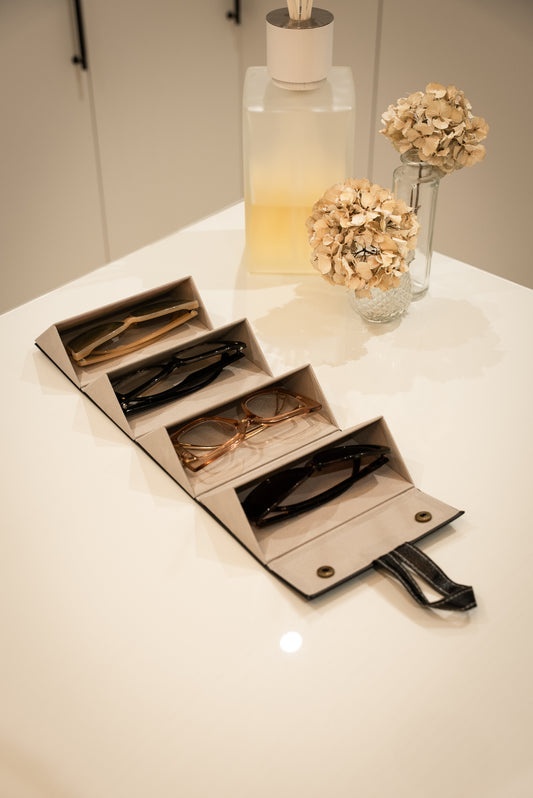 Glasses Storage Case