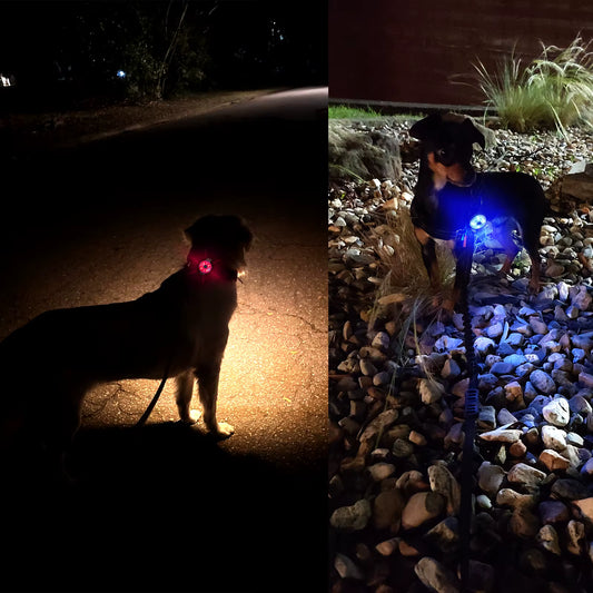 LED Dog Safety Tag