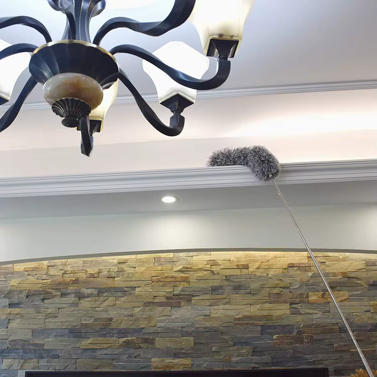 Extendable Feather Duster