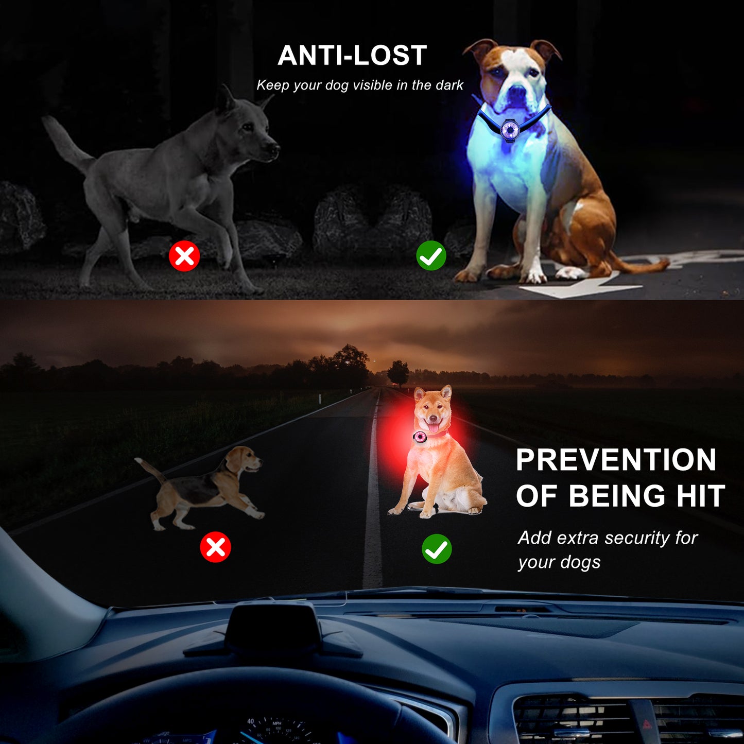 LED Dog Safety Tag