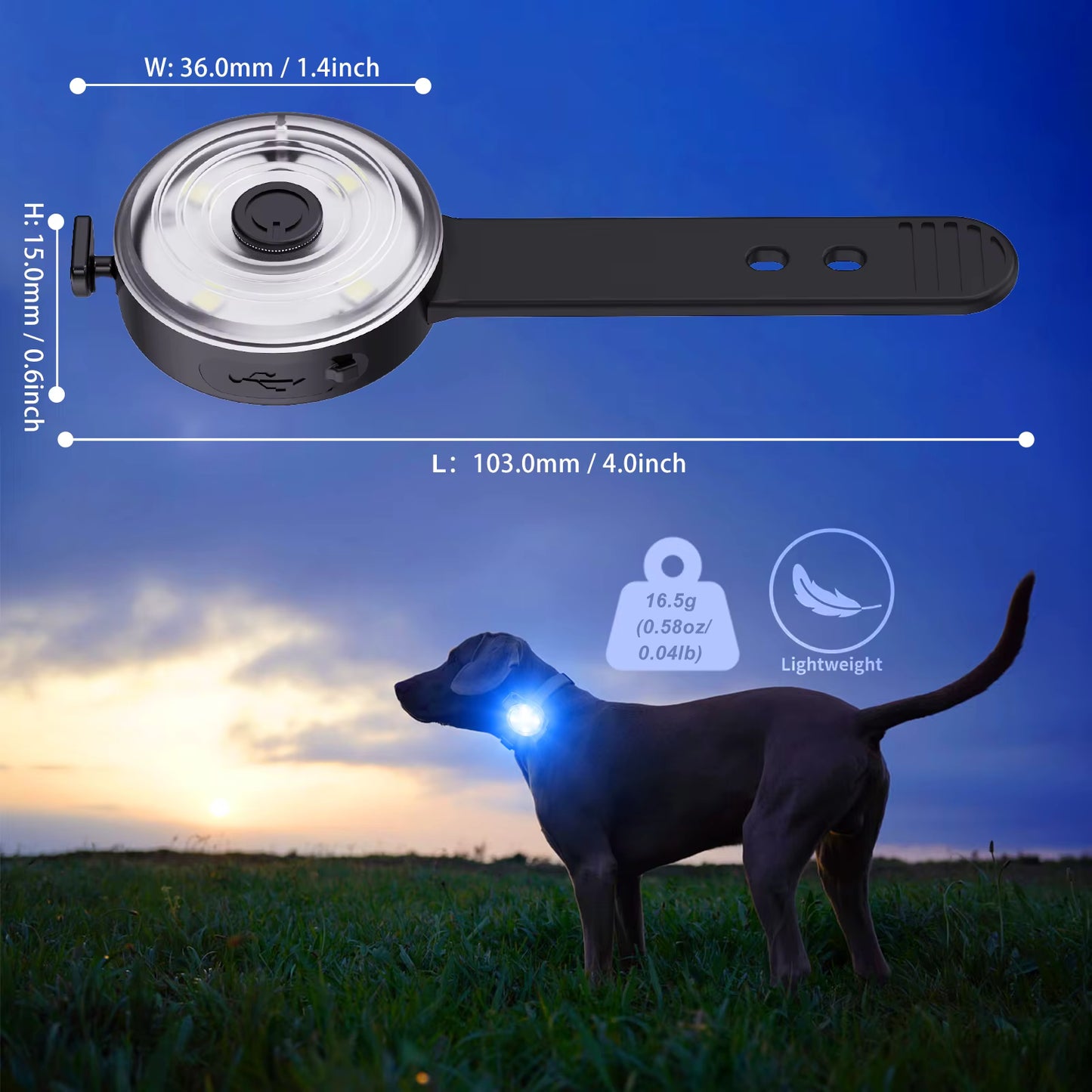 LED Dog Safety Tag