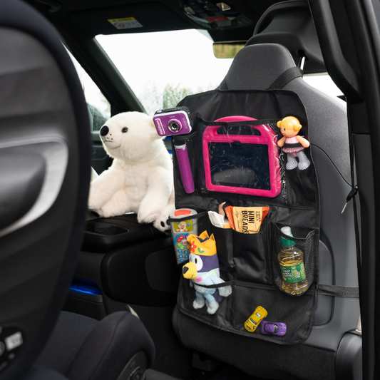 Kids Car Tidy